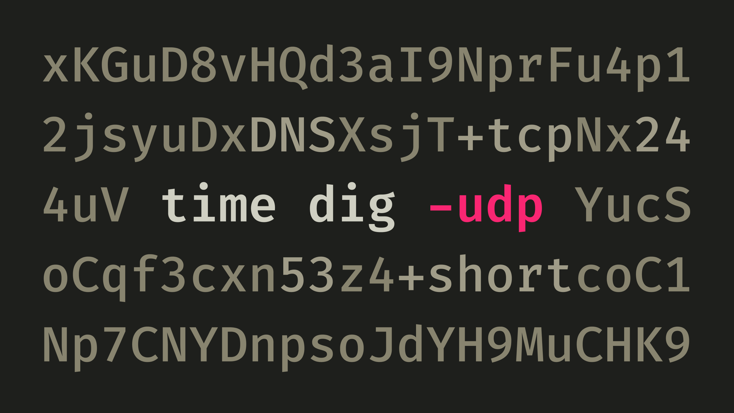 The text "time dig -udp" surrounded by random characters.