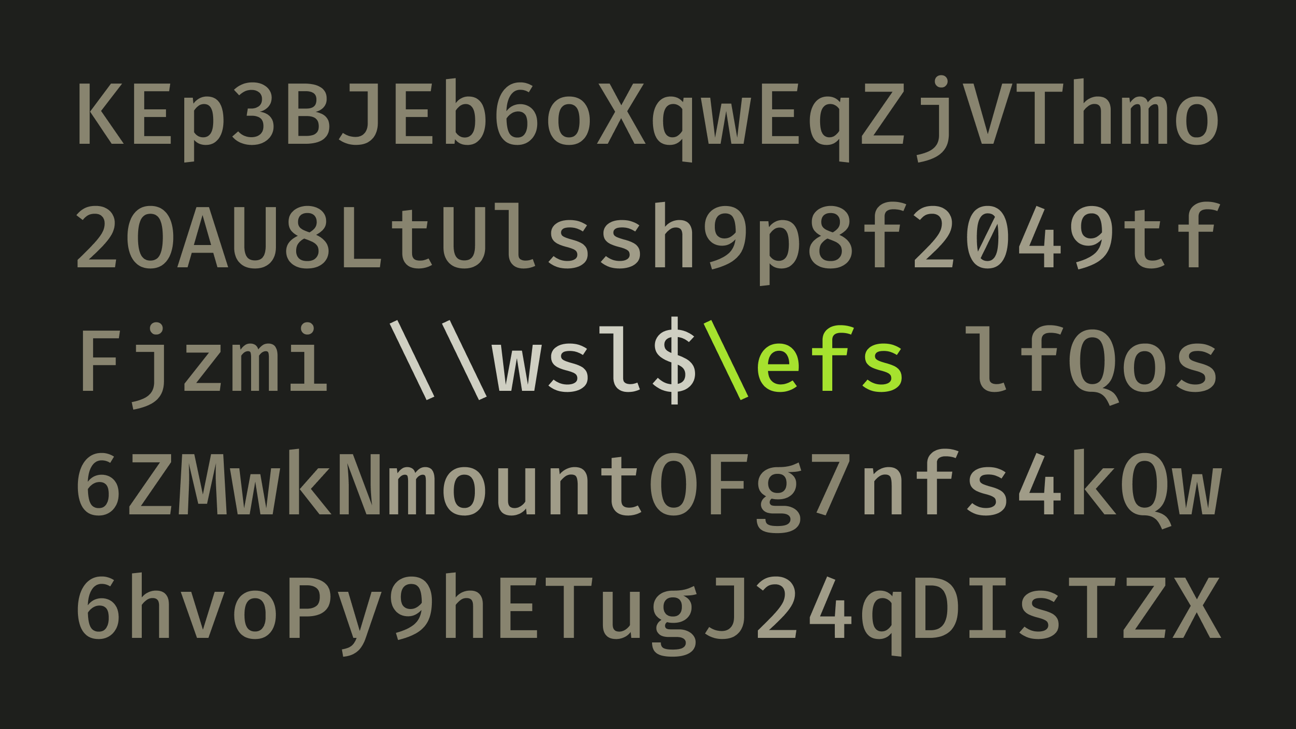 Random characters surrounding the "\\wsl$\efs" file explorer path.