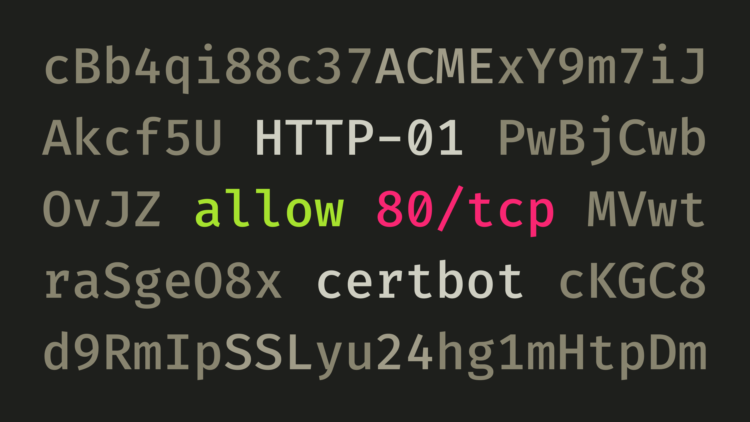 Random characters surrounding "allow 80/tcp", "HTTP-01", and "certbot".
