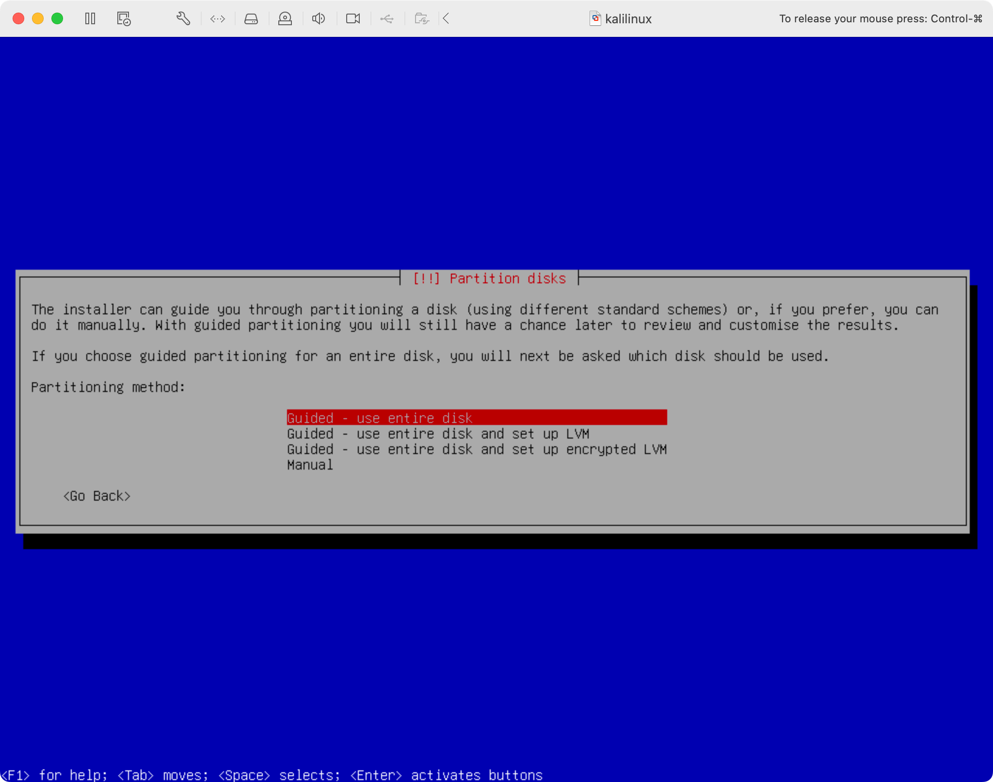 Kali Linux setup disk partitioning screen