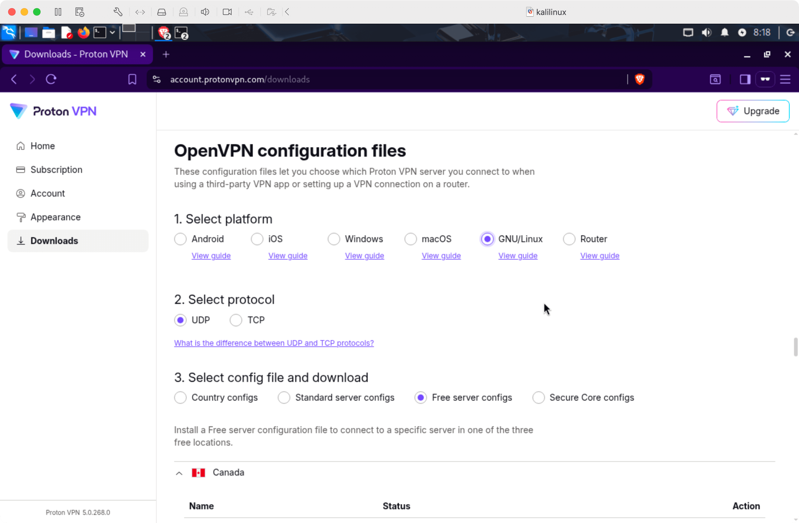 Proton VPN downloads page with OpenVPN configuration files