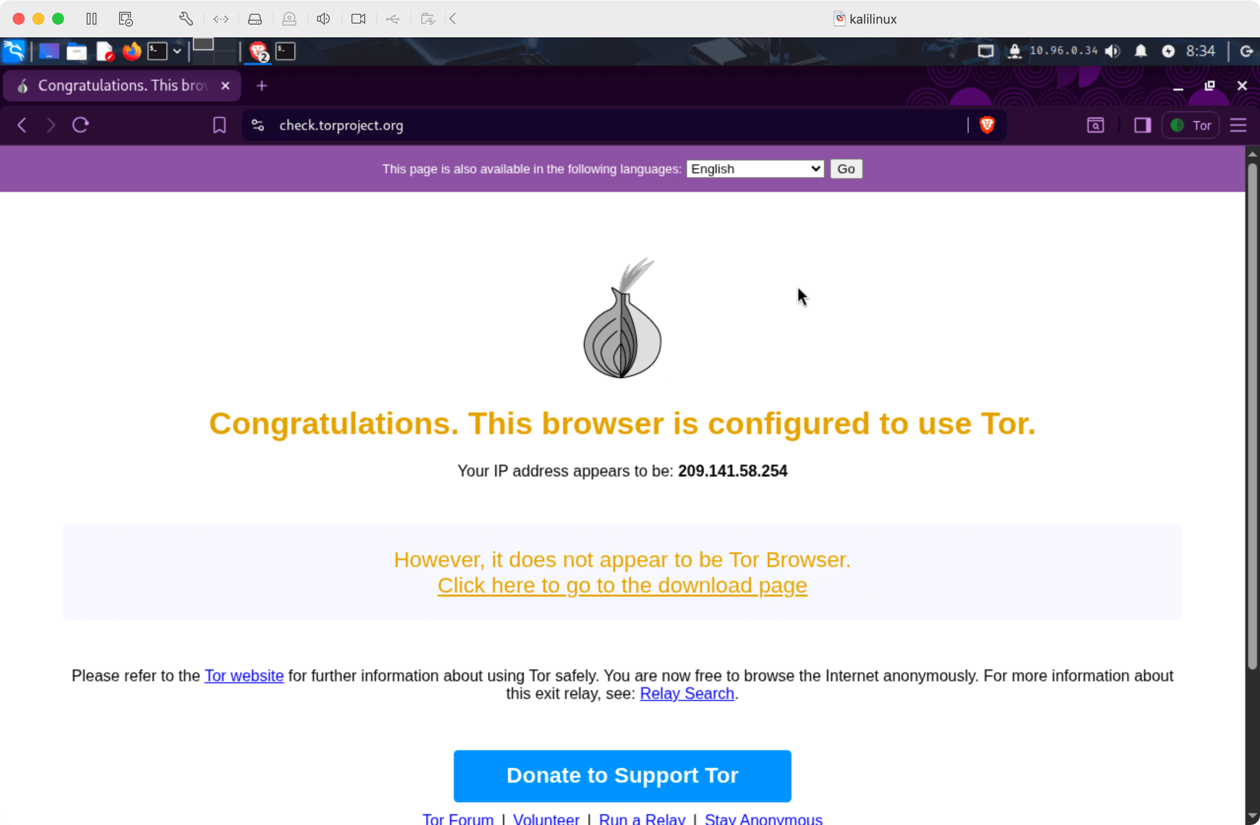 Browser page showing that Tor is correctly configured
