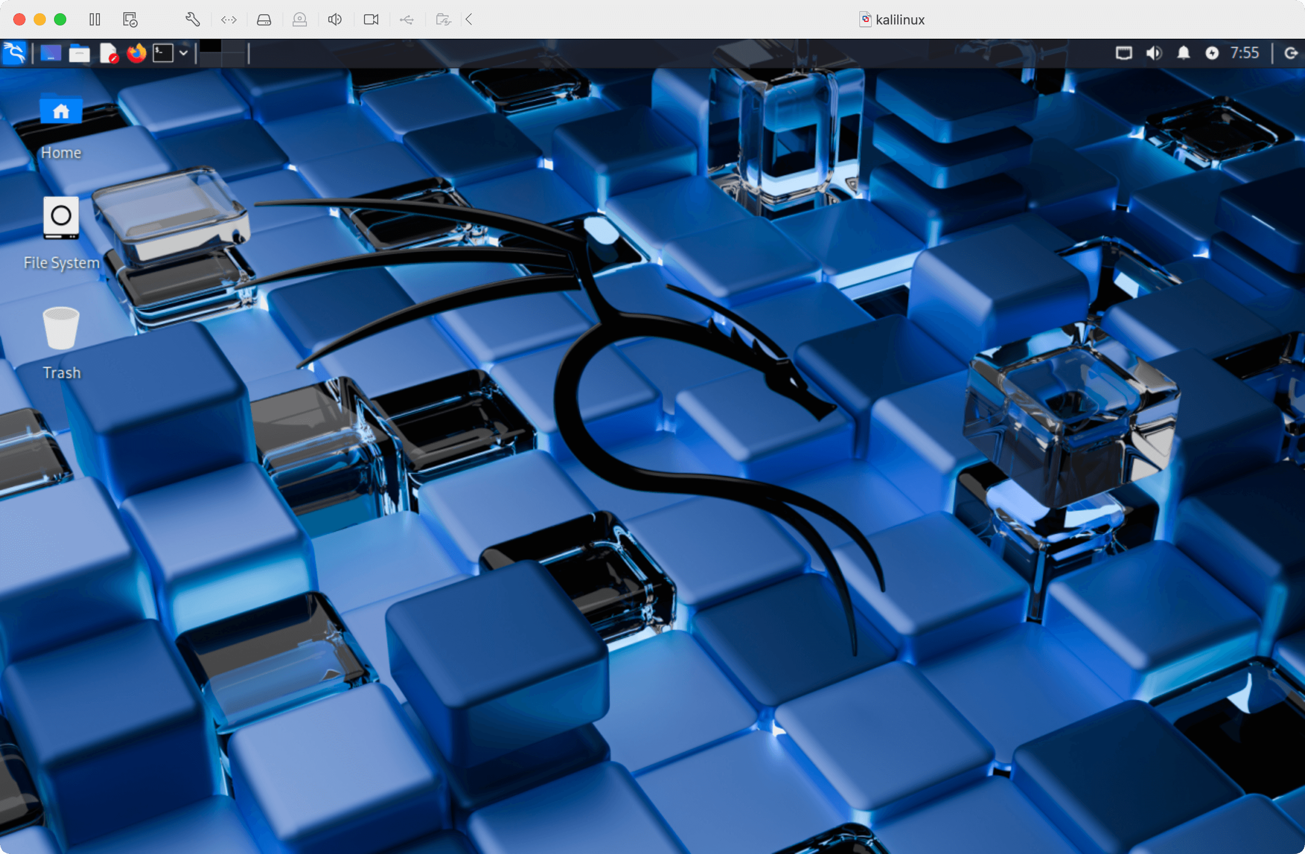 Kali Linux desktop on fresh install