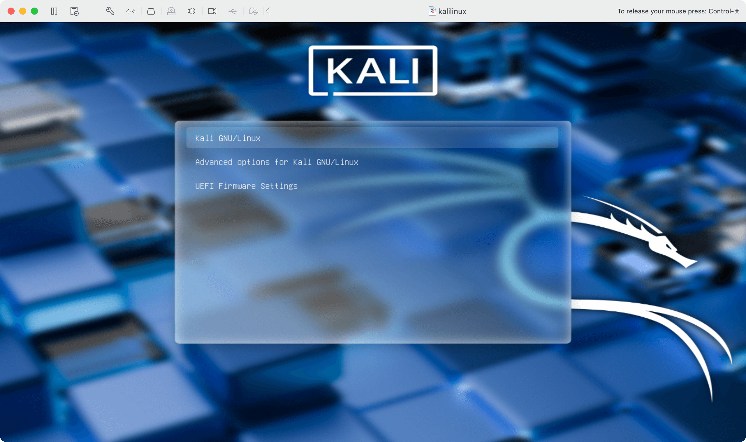 Kali Linux boot screen